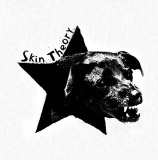 Skin Theory